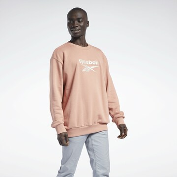 Reebok Sweatshirt in Brown: front