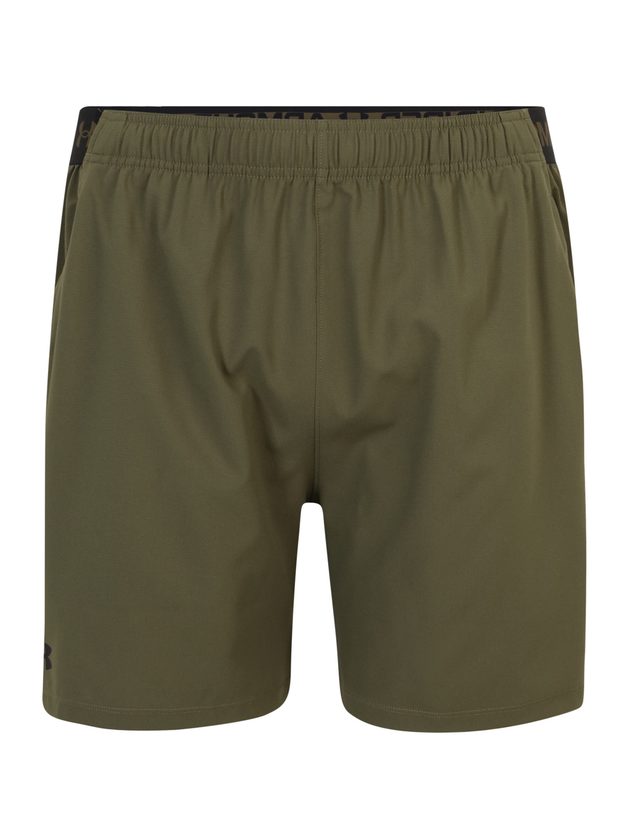 UNDER ARMOUR Спортивные штаны 'Vanish' в Зеленый: спереди