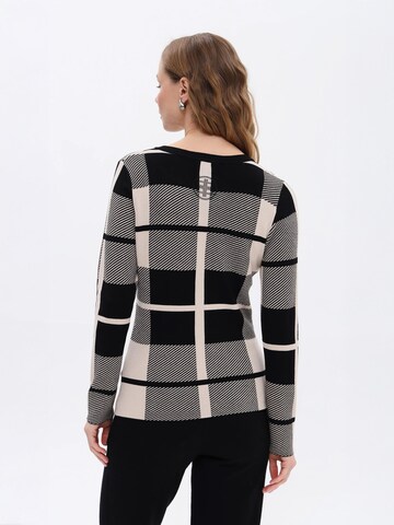 Passioni Pullover in Grau