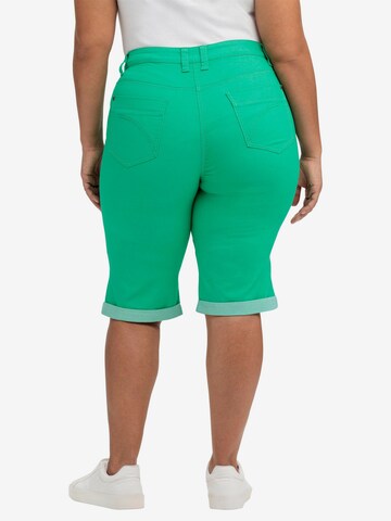 SHEEGO Regular Pants in Green