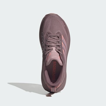 ADIDAS PERFORMANCE Laufschuh 'Supernova Rise 3' in Lila