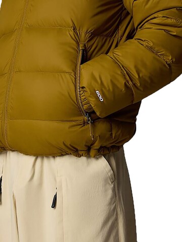 THE NORTH FACE Winter Jacket in Green