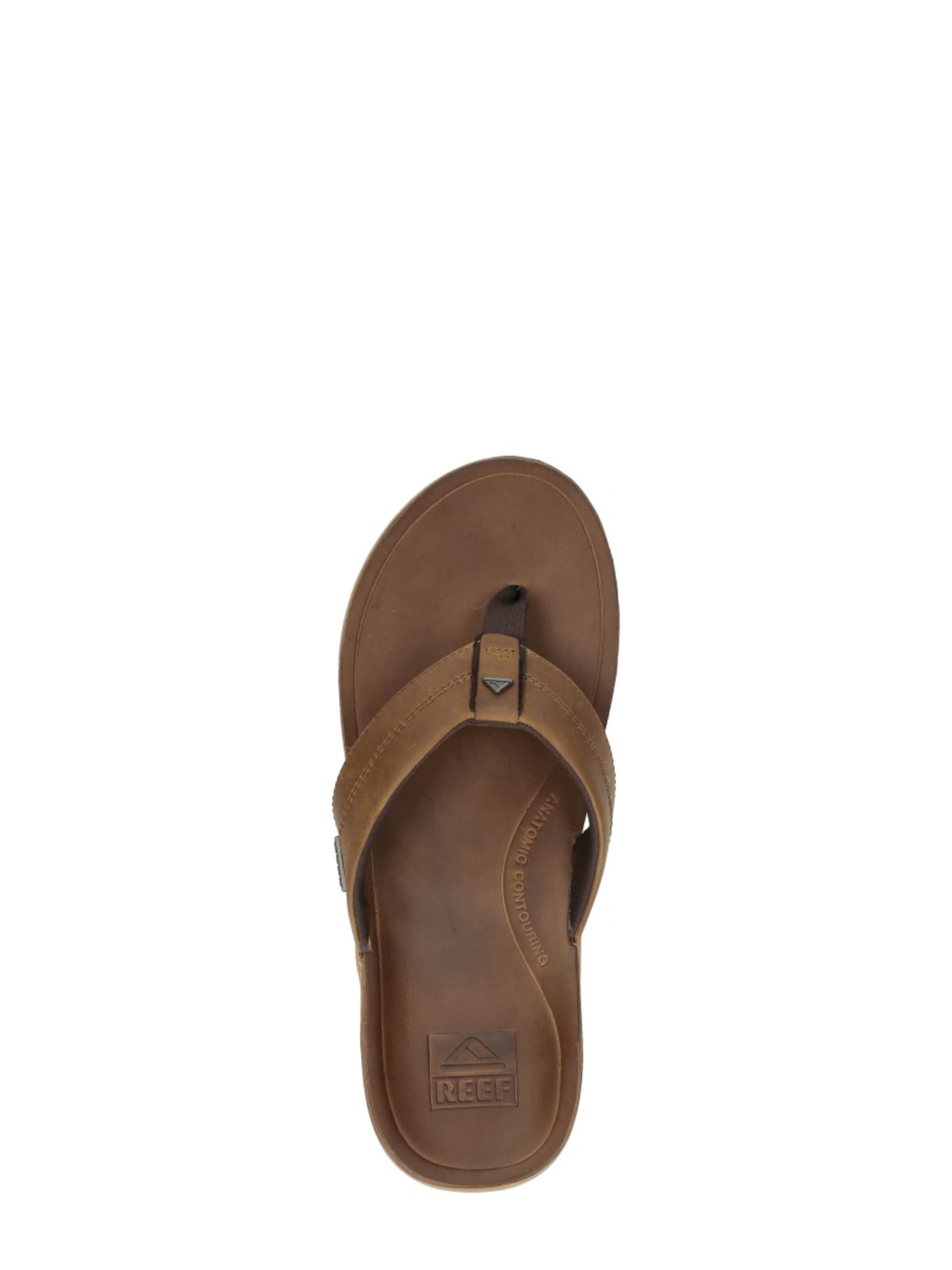 REEF T-bar sandals 'Leather Offshore' in Brown