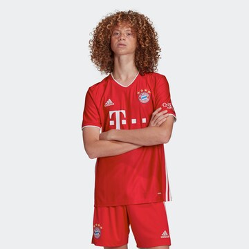 ADIDAS SPORTSWEAR Trikot 'FC Bayern München' – červená: přední strana