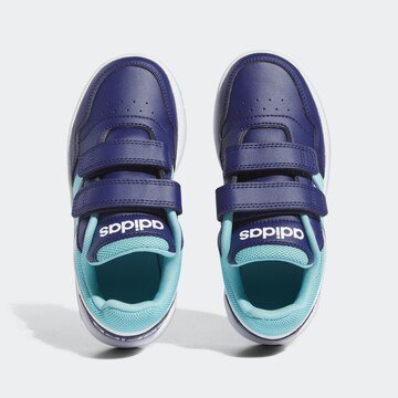 ADIDAS SPORTSWEAR Sneakers in Blue