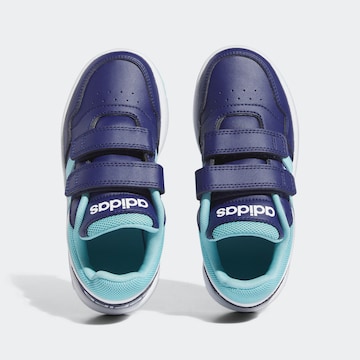 ADIDAS SPORTSWEAR Sneaker low in Blau
