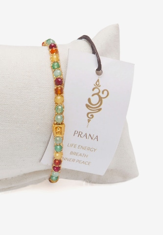 Samapura Jewelry Armband in Gemengde kleuren