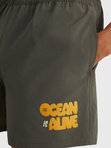 O'NEILL Boardshorts in Grau