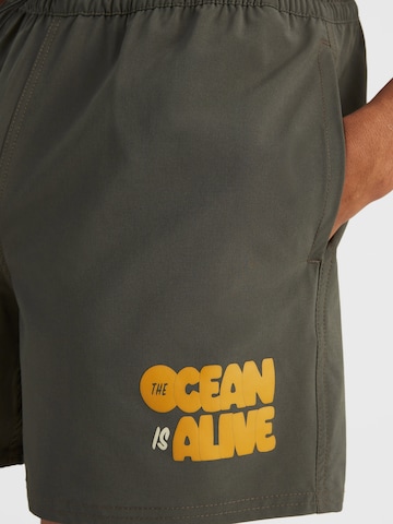 O'NEILL Boardshorts in Grijs