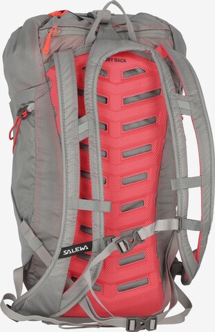 SALEWA Sports Backpack 'Ultra Train' in Grey