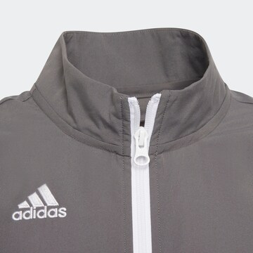 ADIDAS PERFORMANCE Αθλητικό μπουφάν 'Entrada 22 Presentation' σε γκρι