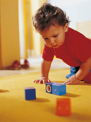 HABA Spielbausteine ' Erkundungssteine ' in Mischfarben