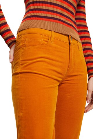 ESPRIT Regular Hose in Orange