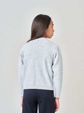 Pull-over Deeluxe en gris