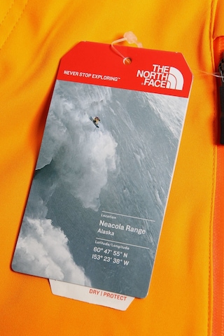 THE NORTH FACE Pants in 31-32 in Orange