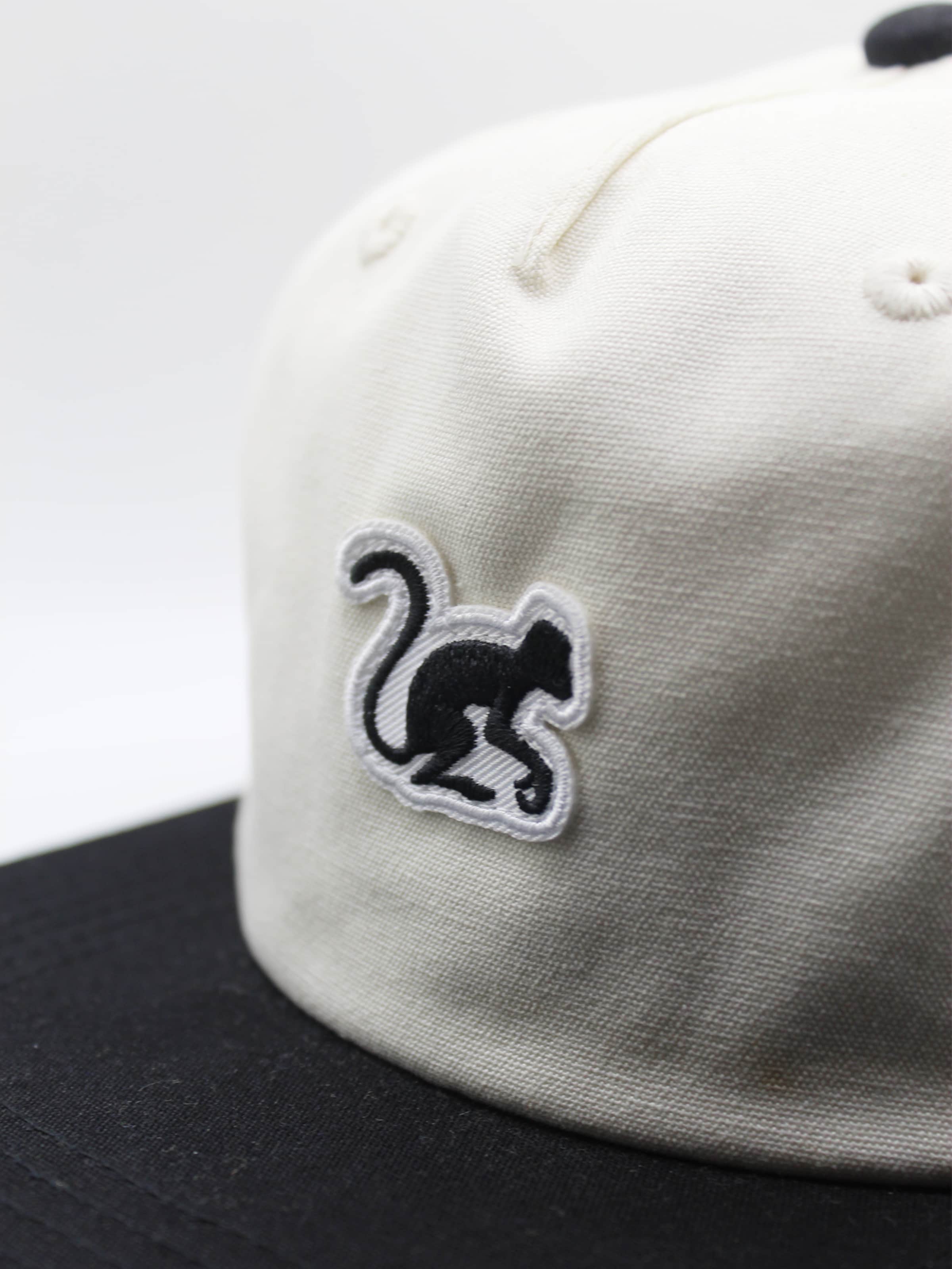 Surf Monkey Pet '5-Panel Cap Organic' in Zwart