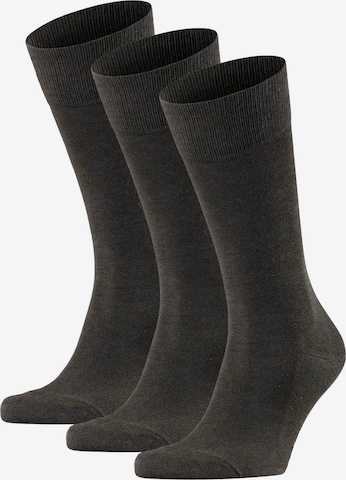 Chaussettes FALKE en marron : devant