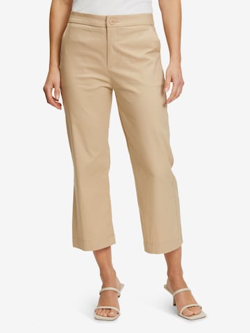 Cartoon Wide leg Pants in Brown: front