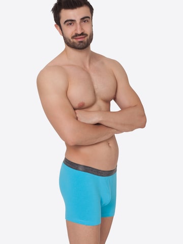 celodoro Boxershorts 'Elastix'‌‌‌‌‌‌‌ in Blau