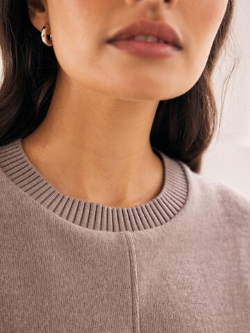 Next Pullover i beige