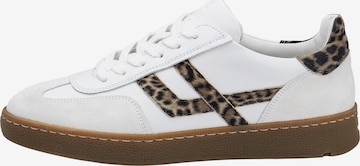Sneaker bassa 'BRAVA' di LLOYD in bianco: frontale