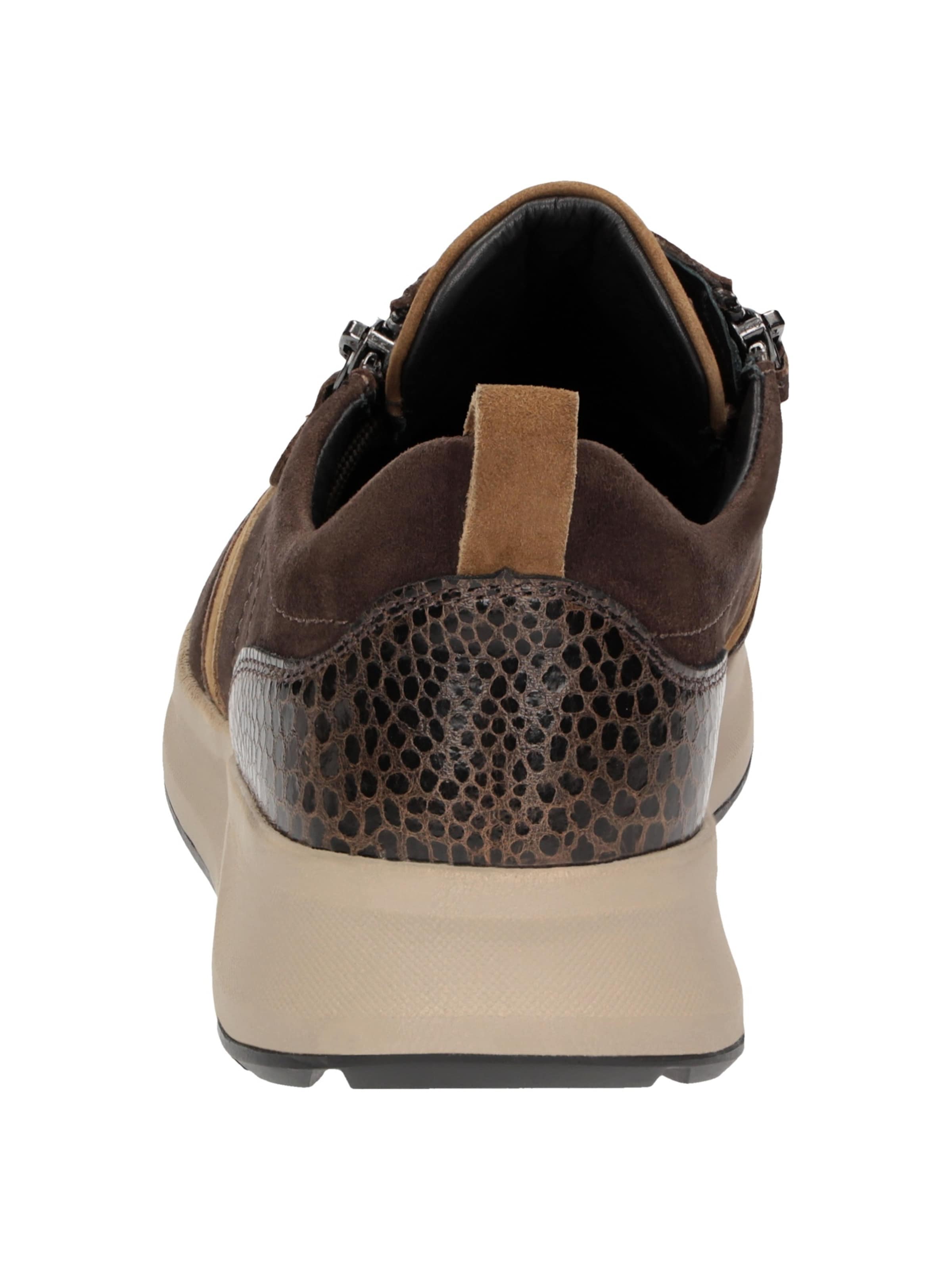 SIOUX Sneakers laag ' Sunivla-704-J ' in Bruin