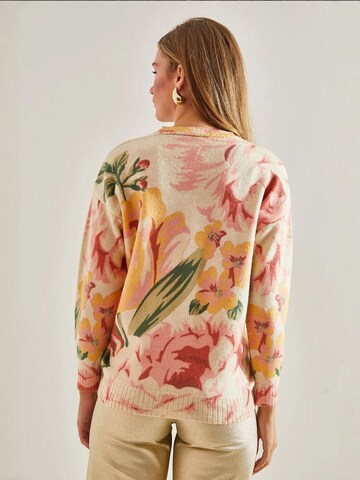 Bianco Lucci Pulover 'Pullover' | mešane barve barva