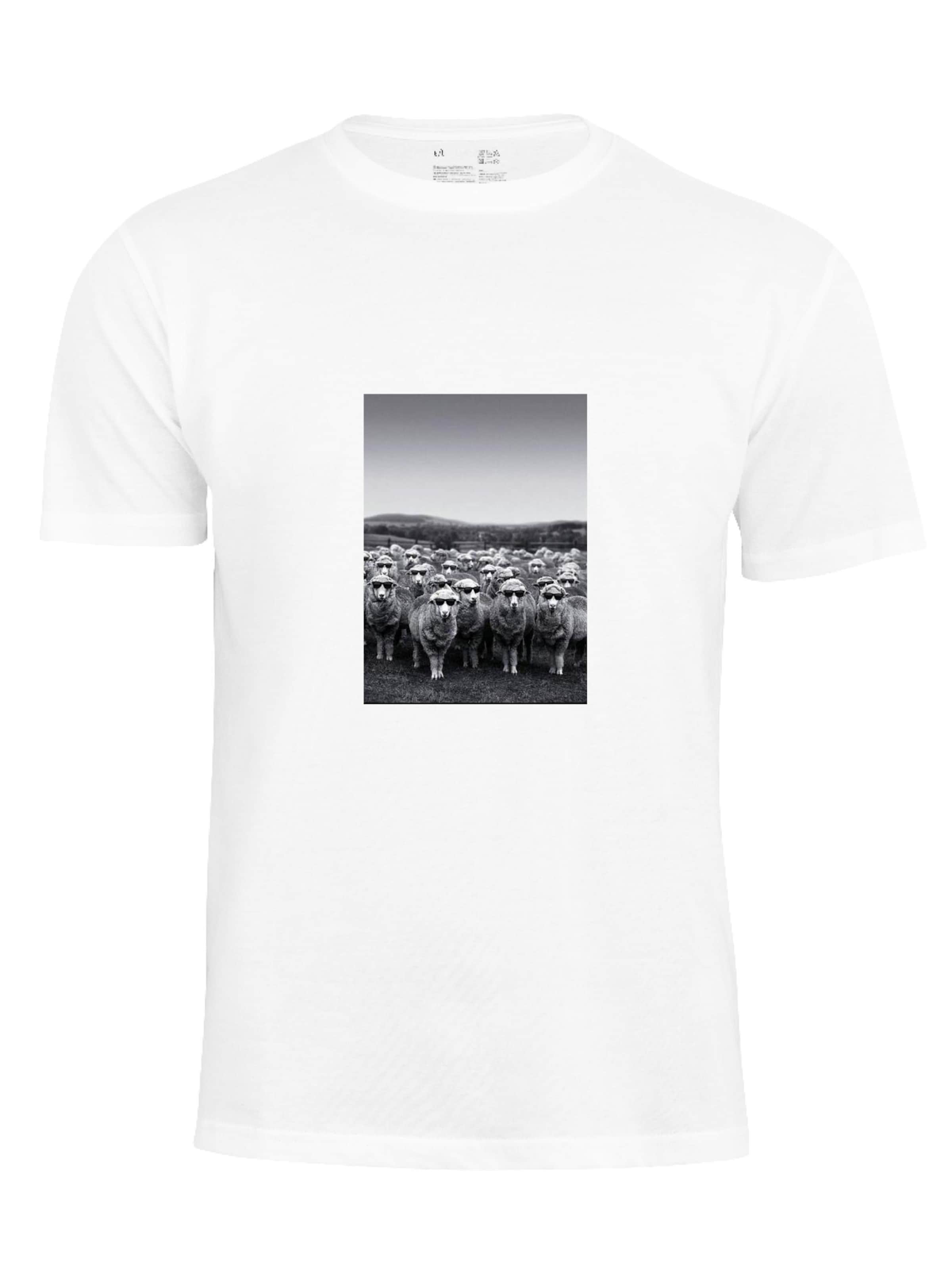 Cotton Prime Shirt in White: front