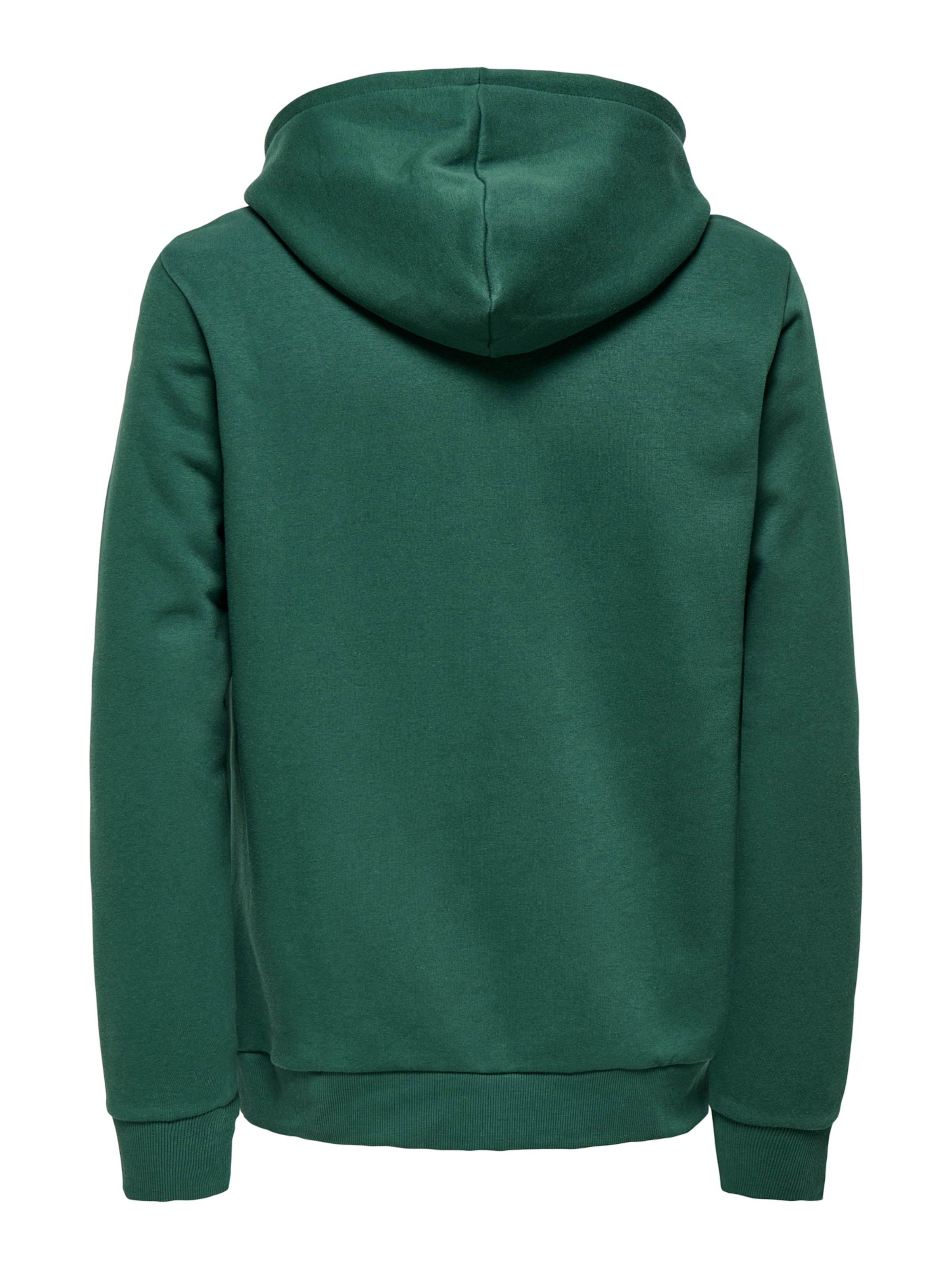 Only & Sons Sweatshirt 'ONSCERES KENNY' in Green