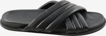 bassike Flats & Loafers in 38 in Black: front