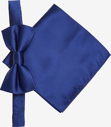 Nœud papillon s.Oliver en bleu : devant