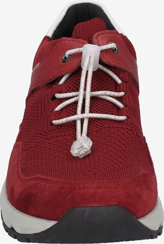 JOSEF SEIBEL Sneakers 'Jeremiah 02' in Red