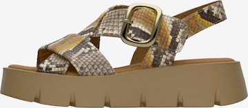 GABOR Sandaalit värissä monivärinen: etupuoli