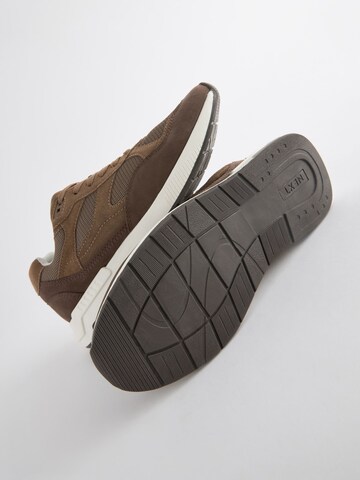 Baskets basses Next en marron