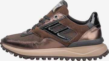 Floris van Bommel Sneakers 'Noppi 52' in Brown: front
