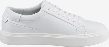 Calvin Klein Sneakers laag in Wit