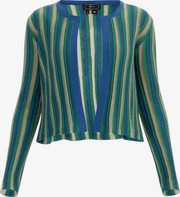 Cardigan faina en bleu : devant