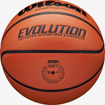 WILSON Ball 'EVOLUTION' in Brown