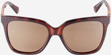 Polaroid Sunglasses in Brown