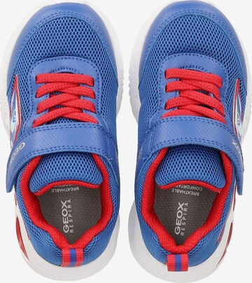 Baskets GEOX en bleu