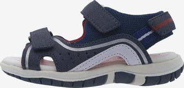 Chaussures ouvertes 'Franklin' CHICCO en bleu : devant