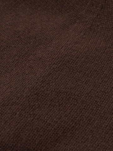 brūns GOBI Cashmere Džemperis 'Cashmere Hat & Sweater Set'