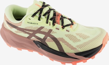 ASICS Running shoe 'Gel-Trabuco 13' in Green: front