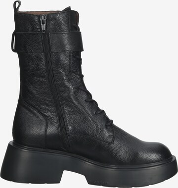 Wonders Lace-Up Ankle Boots in Black