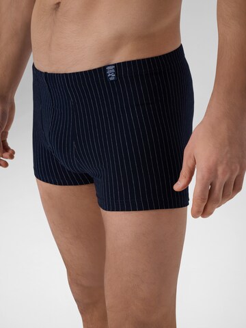 Boxers ' Urban Traveller ' Ammann en bleu