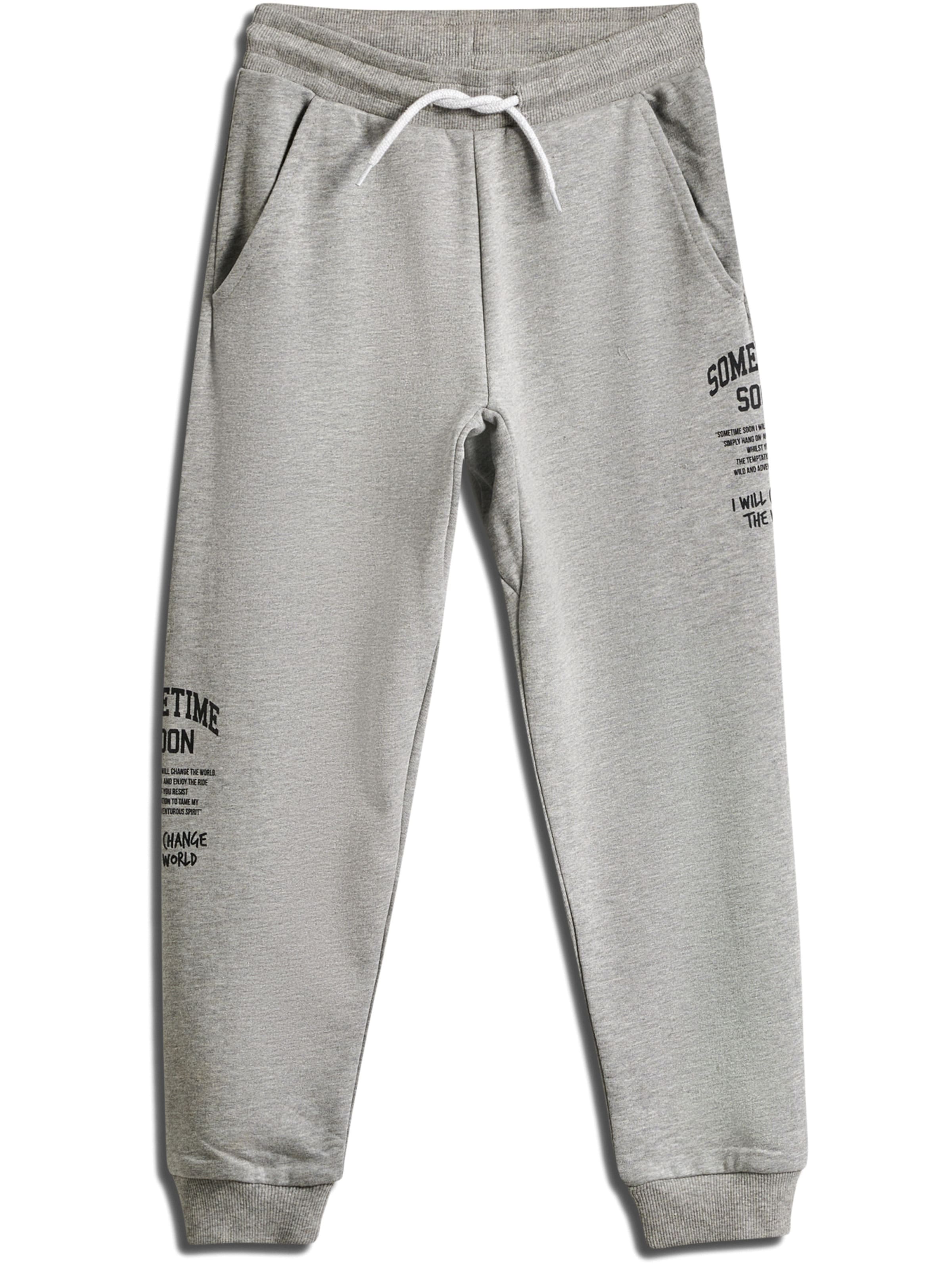 SOMETIME SOON Trousers 'Dimas' in Grey: front