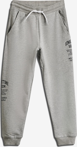 SOMETIME SOON Дънки Tapered Leg Панталон 'Dimas' в сиво: отпред