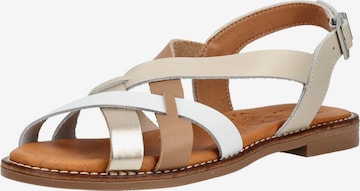 Oh! My Sandals Riemensandale in Beige: Vorderseite