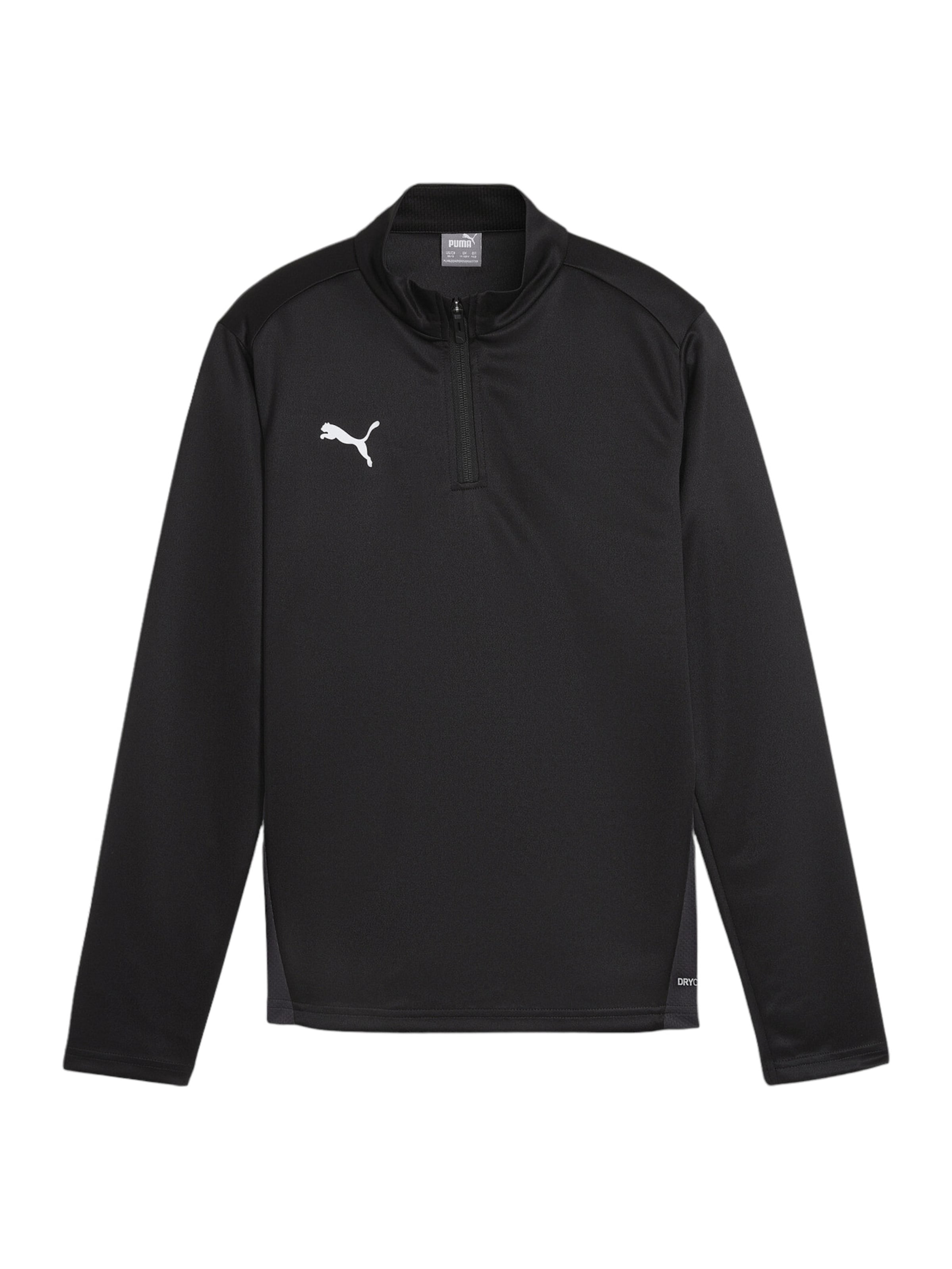PUMA Funktionsshirt 'TeamGoal' in Schwarz: Vorderseite