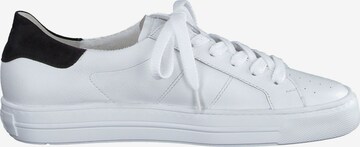 Paul Green Sneakers in White